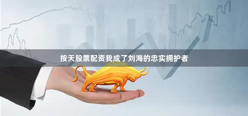 按天股票配资我成了刘海的忠实拥护者