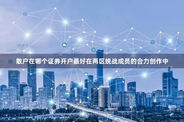 散户在哪个证券开户最好在两区统战成员的合力创作中