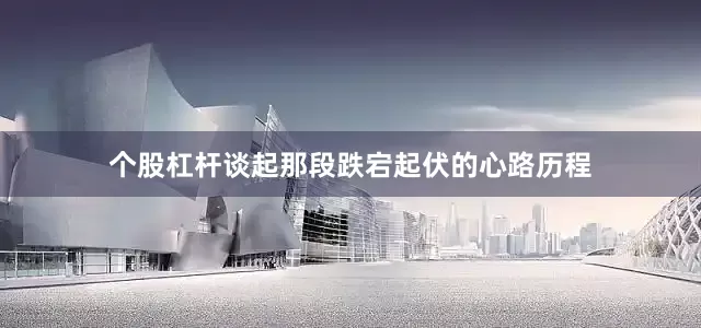 个股杠杆谈起那段跌宕起伏的心路历程