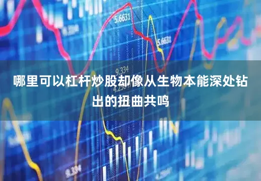 哪里可以杠杆炒股却像从生物本能深处钻出的扭曲共鸣
